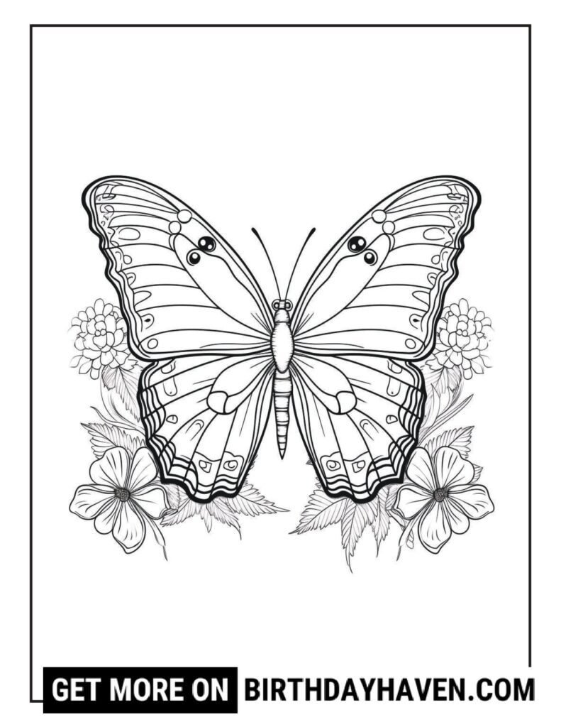 25 BUTTERFLY COLORING PAGES WATERMARK page 0050