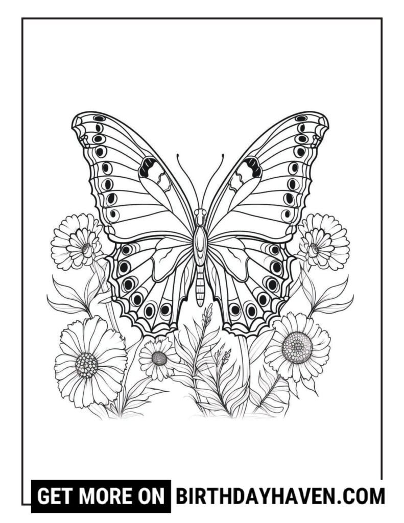 Butterfly coloring pages 10