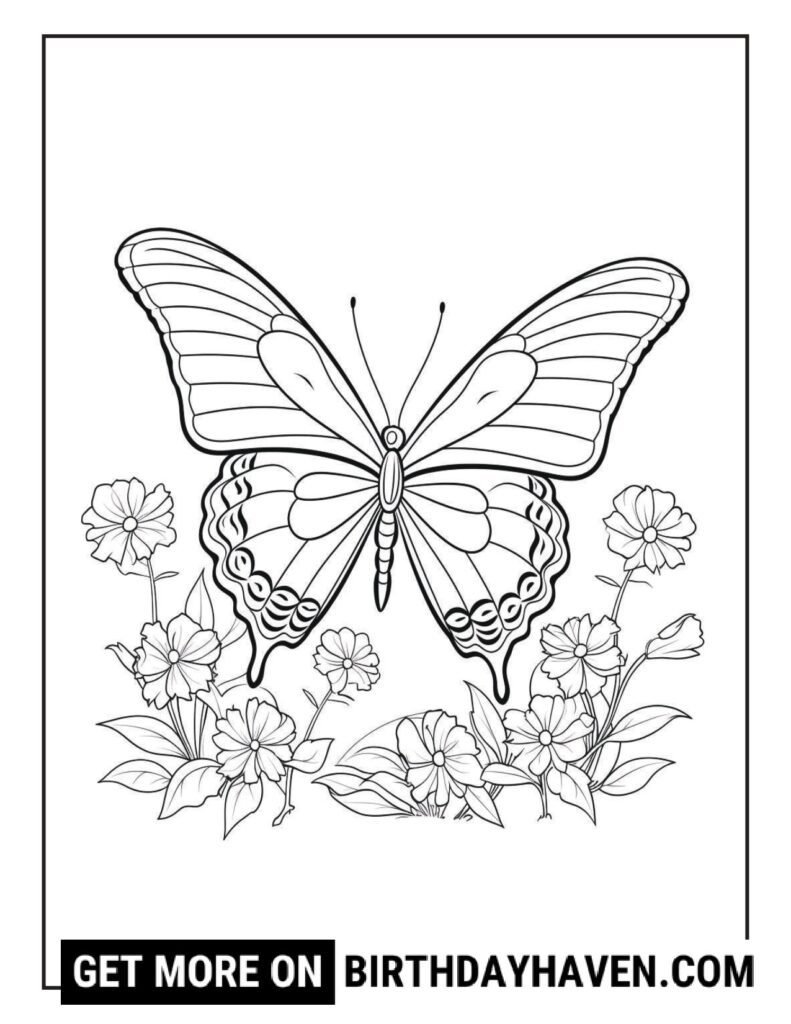 Butterfly coloring pages 11