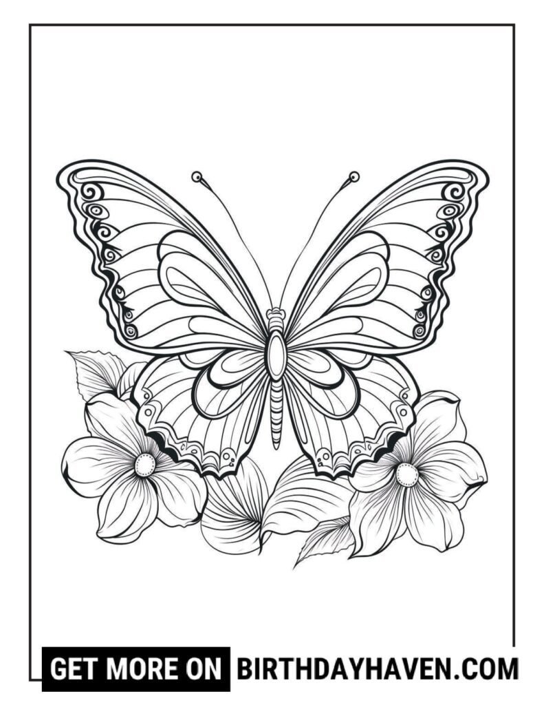 Butterfly coloring pages 13