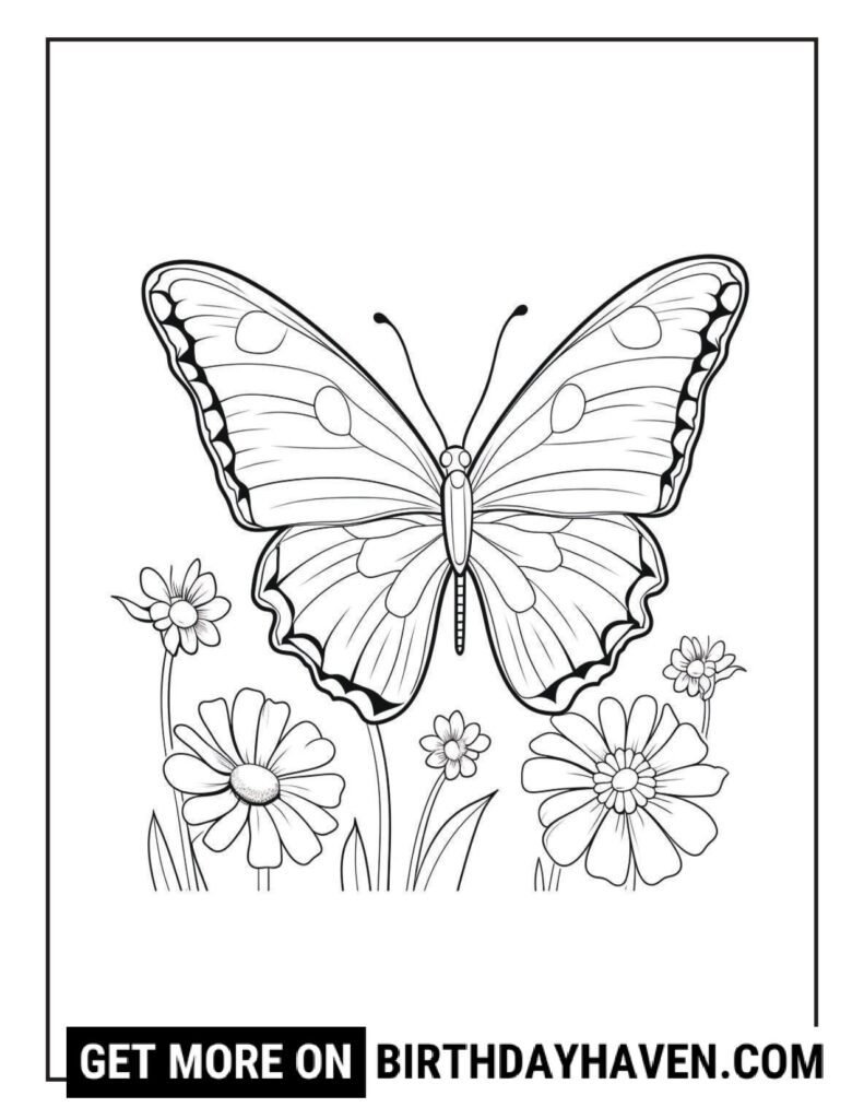 Butterfly coloring pages 14