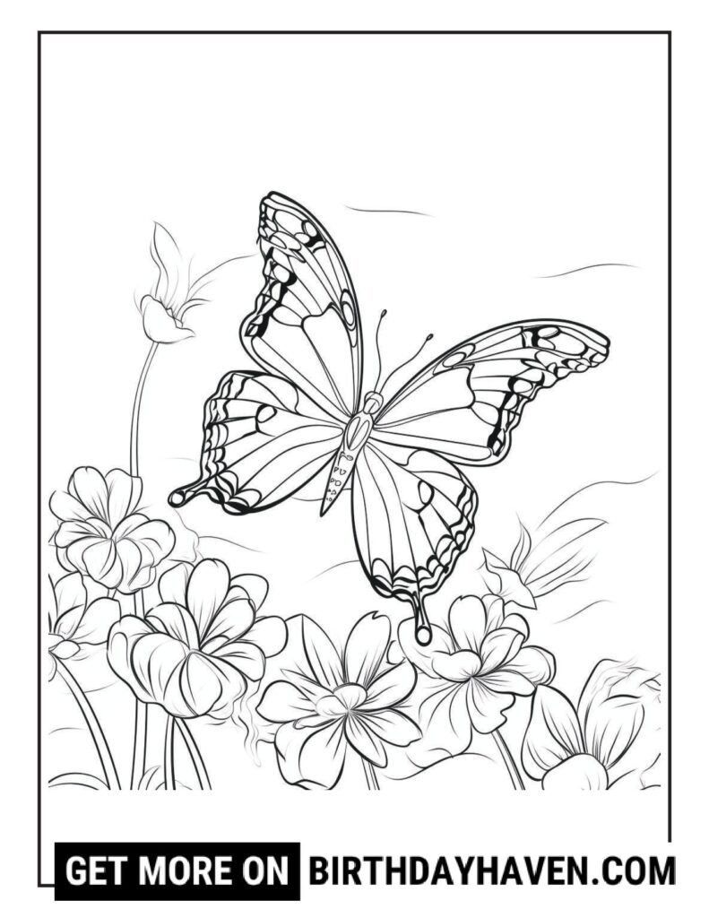 Butterfly coloring pages 15