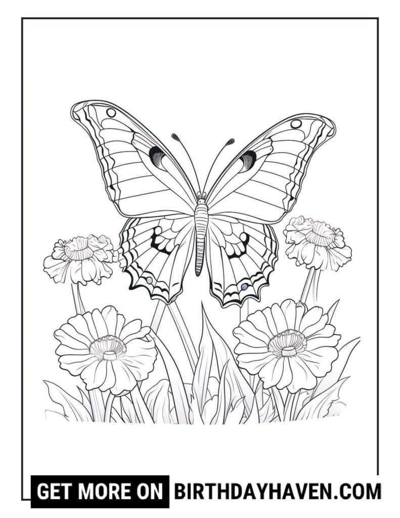 Butterfly coloring pages 17