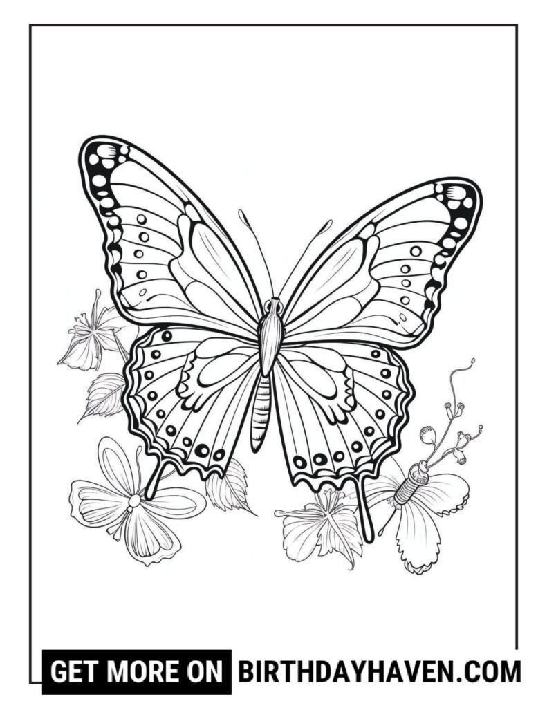 Butterfly coloring pages 2