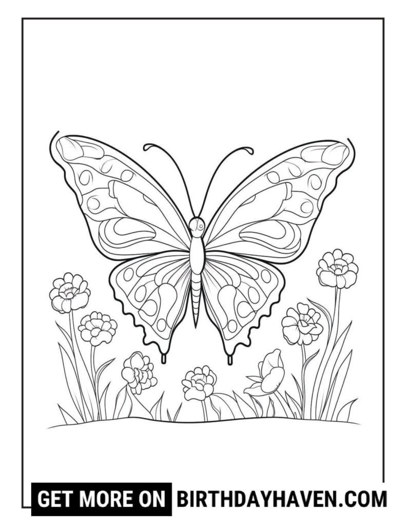 Butterfly coloring pages 20