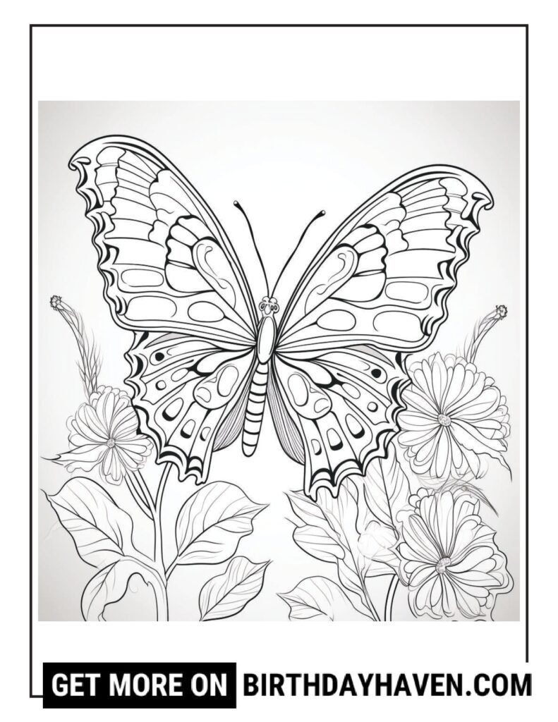 Butterfly coloring pages 4