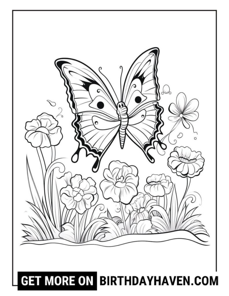 Butterfly coloring pages 6
