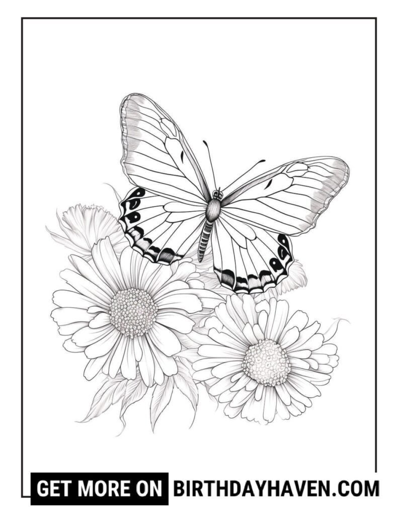 Butterfly coloring pages 9