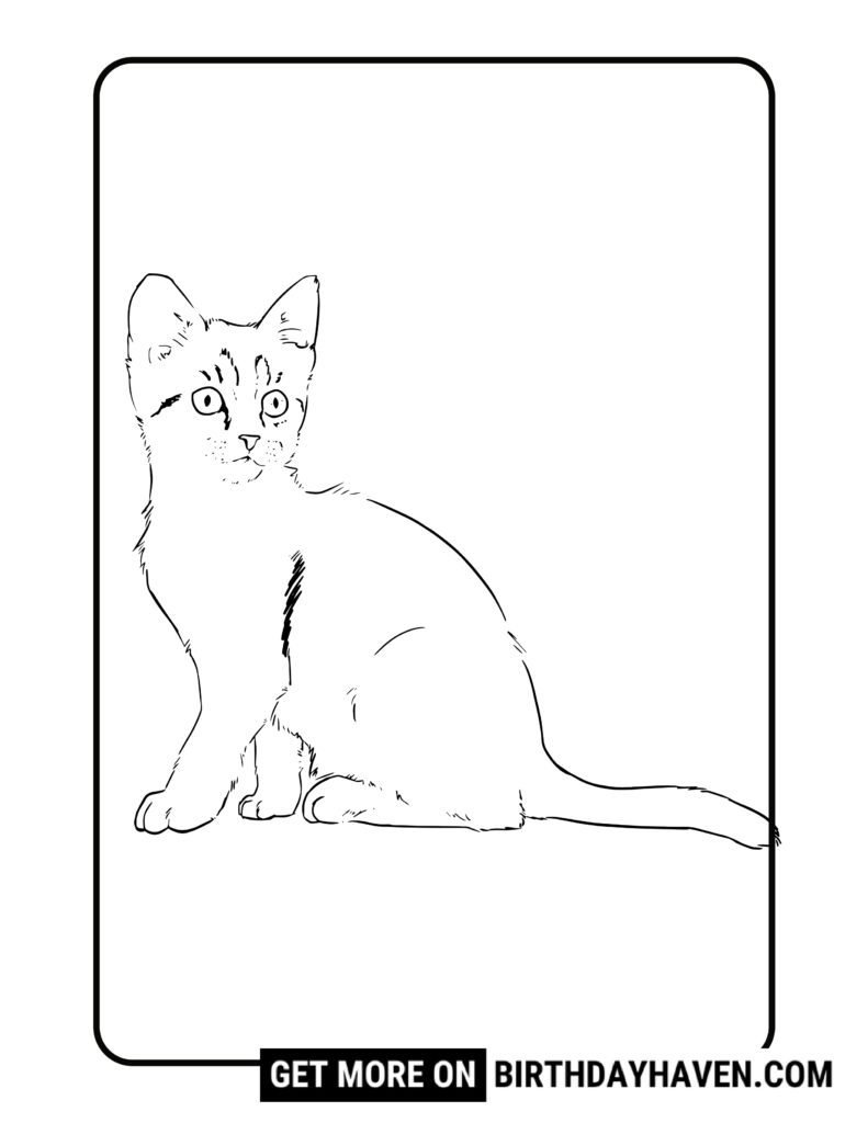 cat coloring pages 4